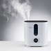 Увлажнитель воздуха Boneco Air-O-Swiss U350